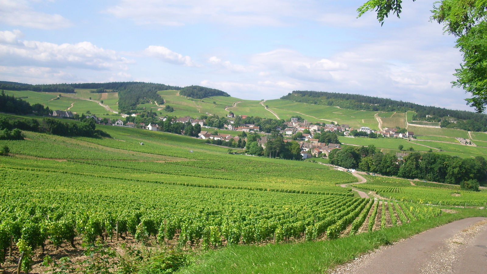 Bourgogne