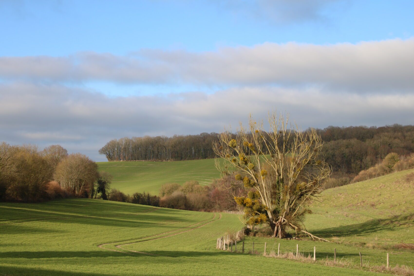 Perche – Normandië