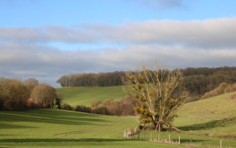 Perche – Normandië