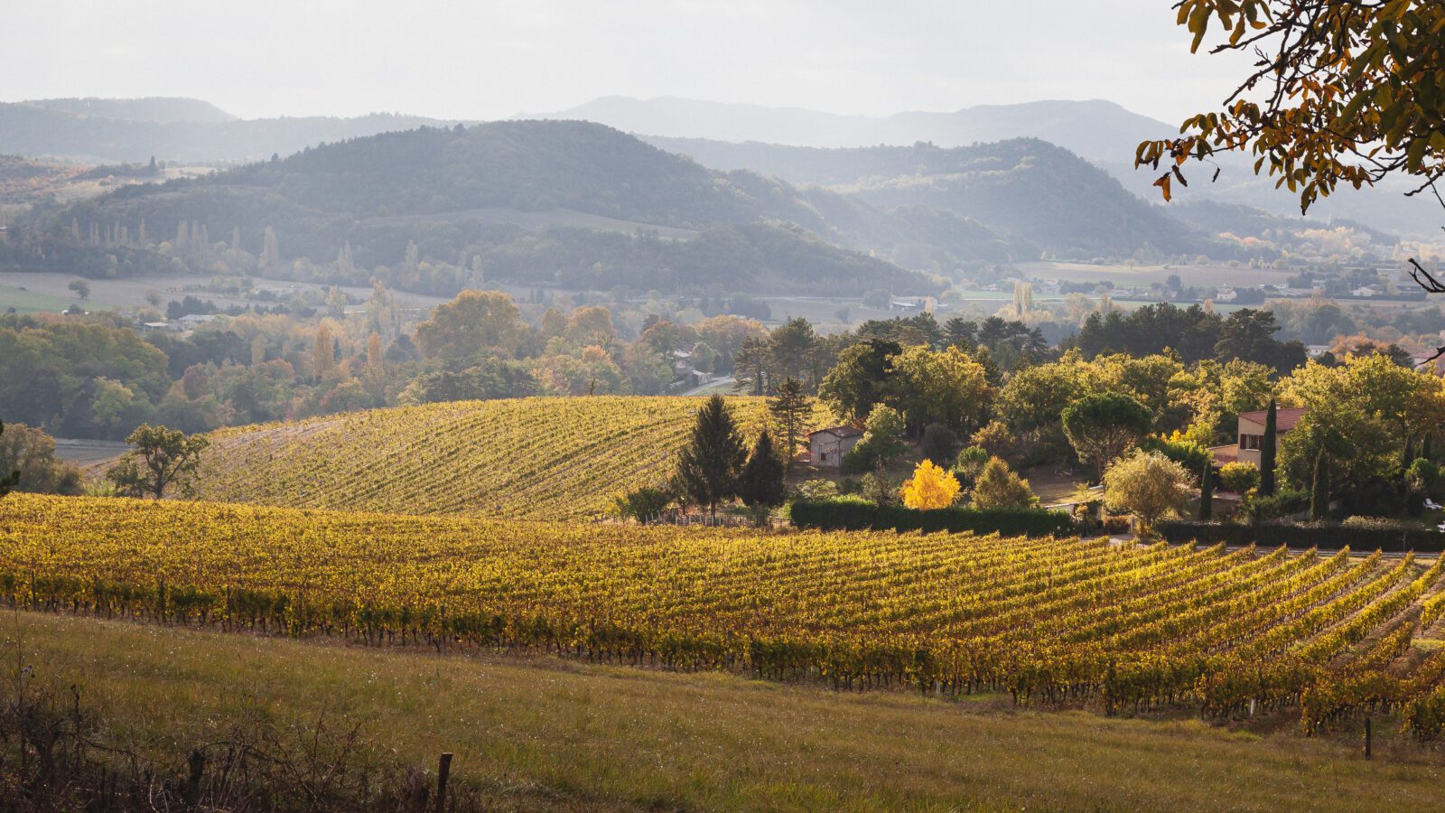 Drôme, Die