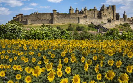 Medieval Citadel of Carcassonne – France