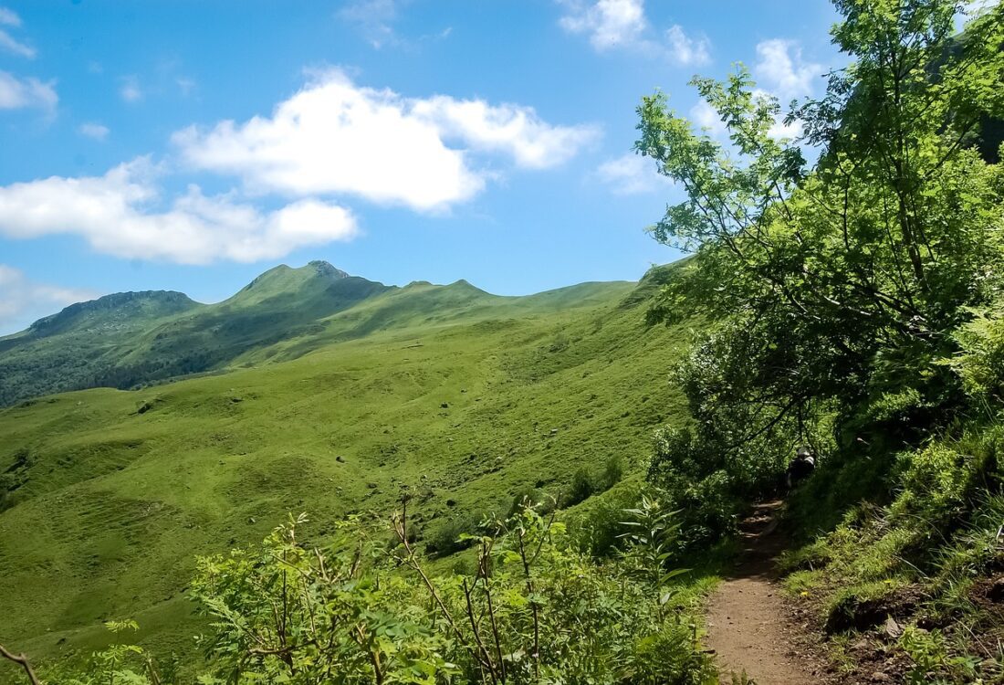 Cantal dept