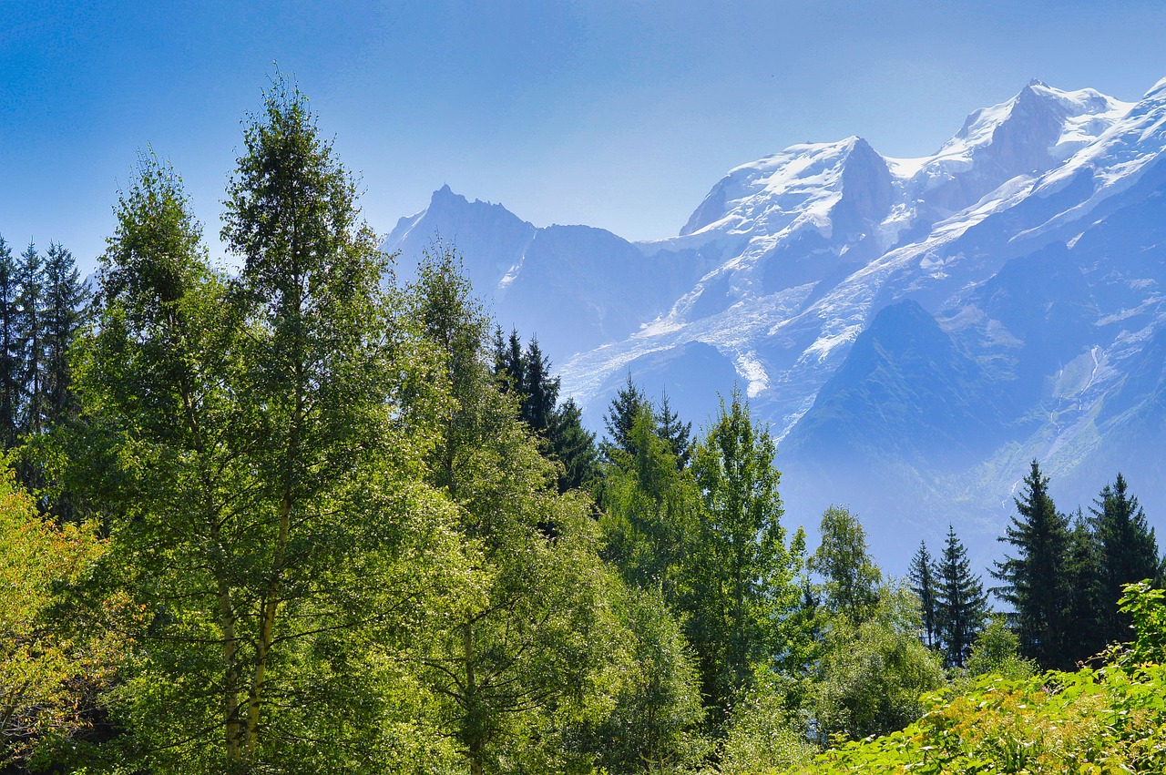 Haute-Savoie dept