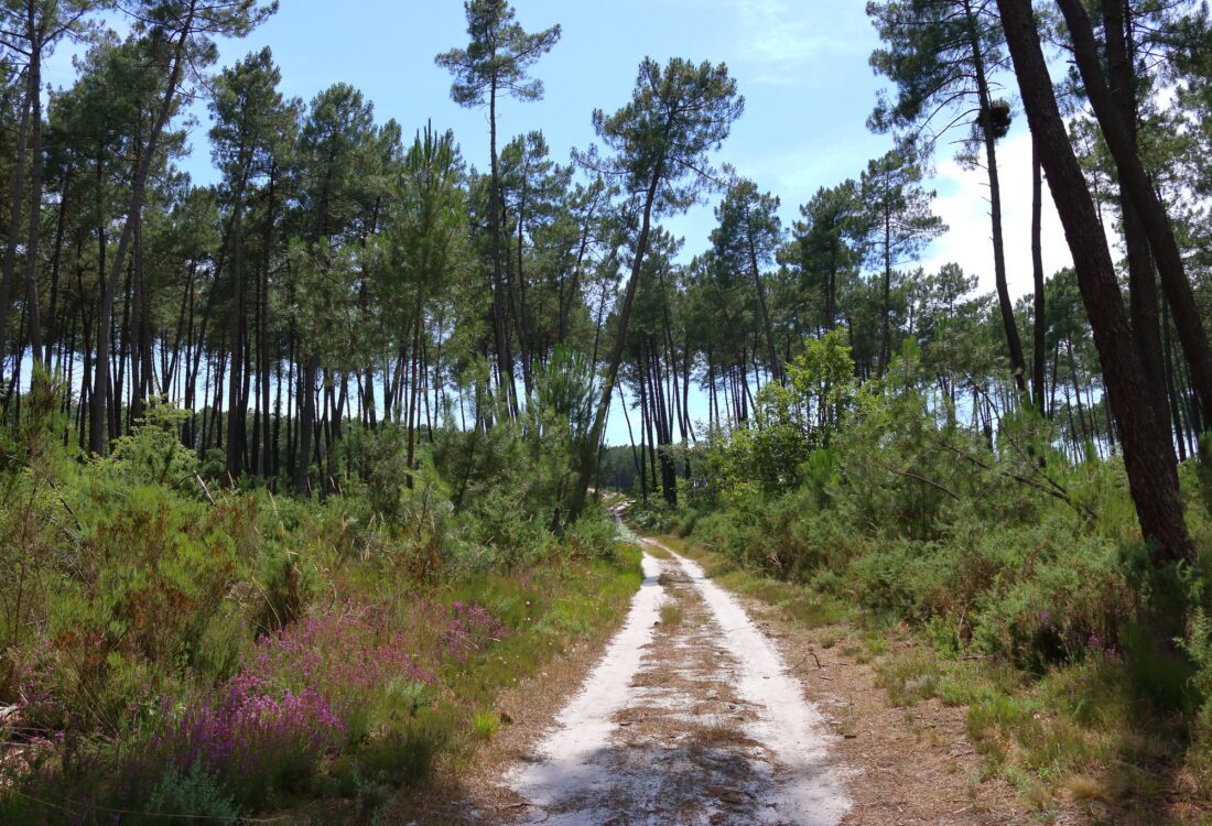 Les Landes