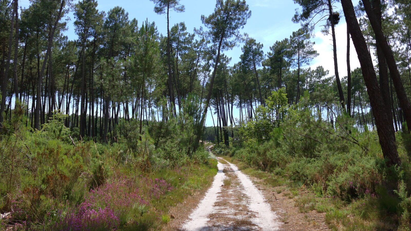 Les Landes