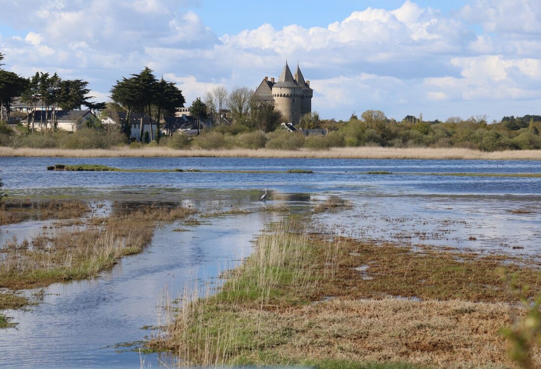 Morbihan dept castle-4291114_1280