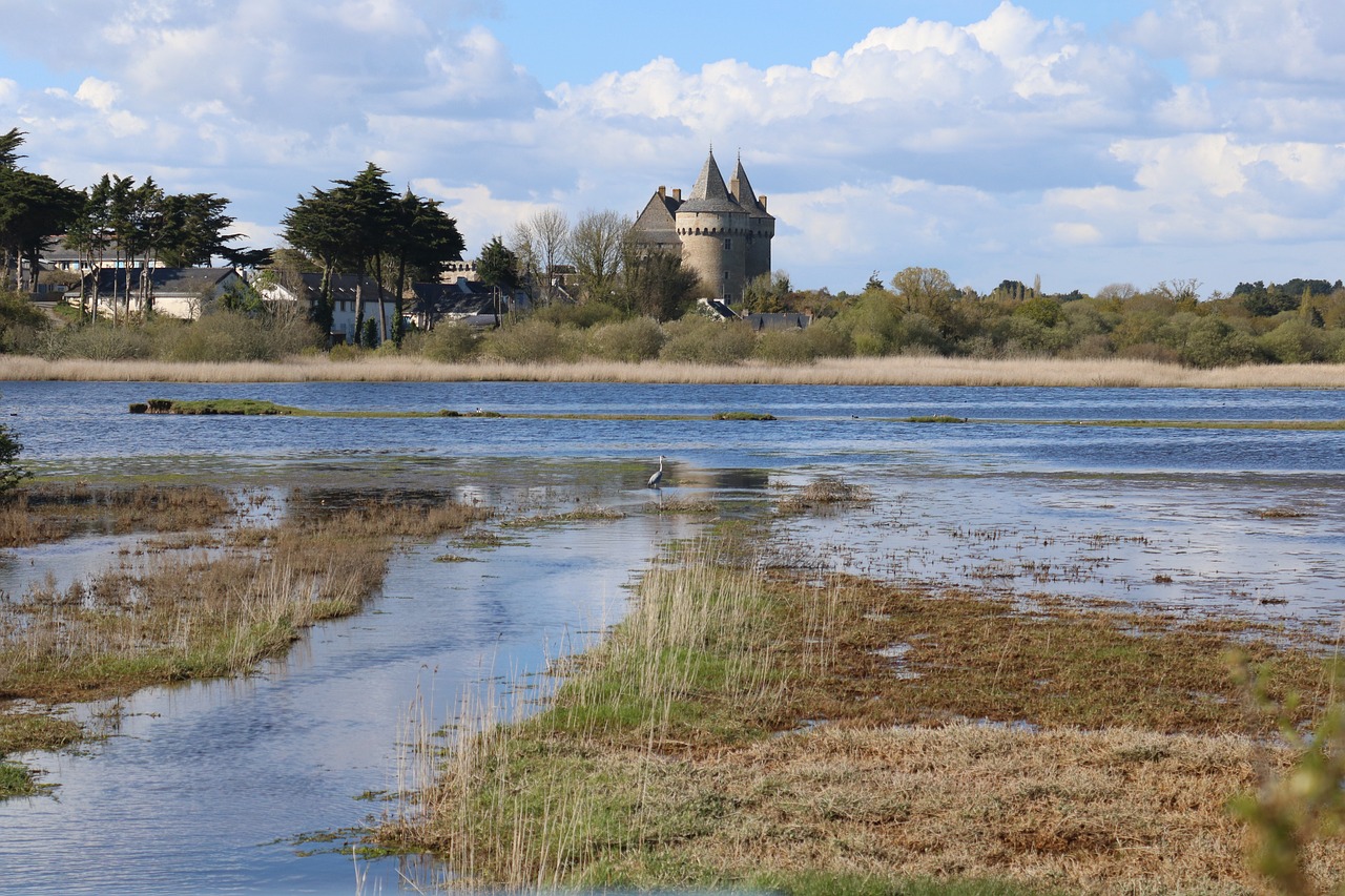 Morbihan dept castle-4291114_1280