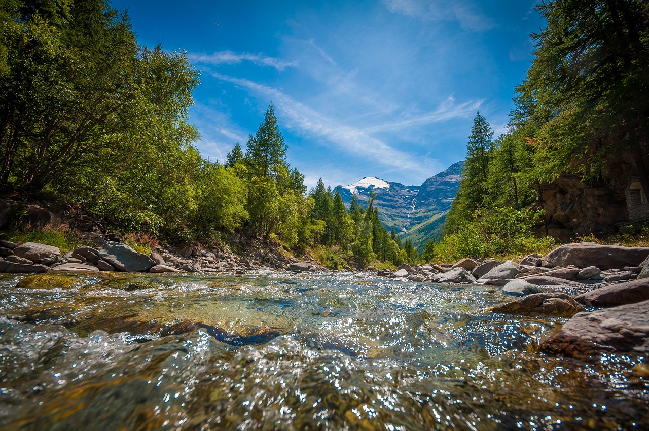 Savoie