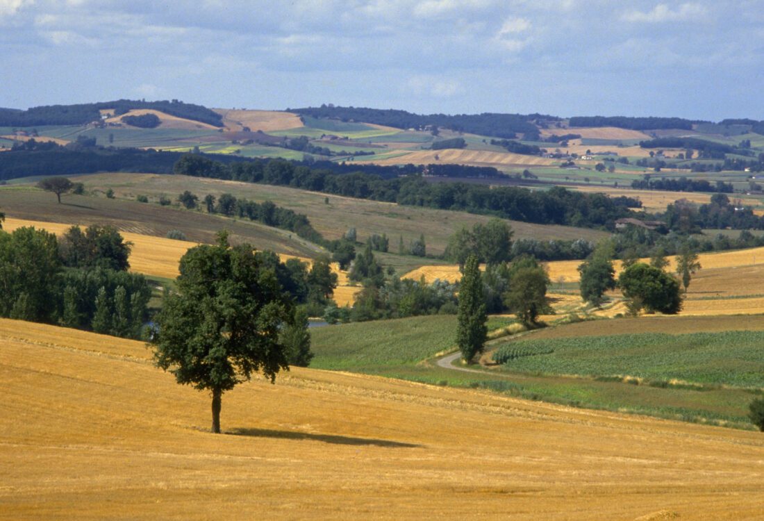Tarn-et-Garonne dept