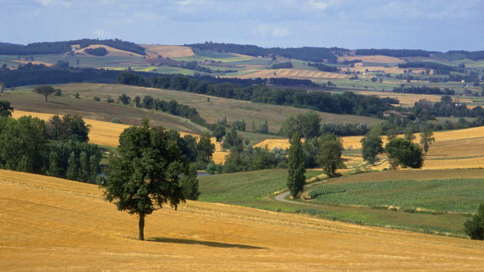 Tarn-et-Garonne dept