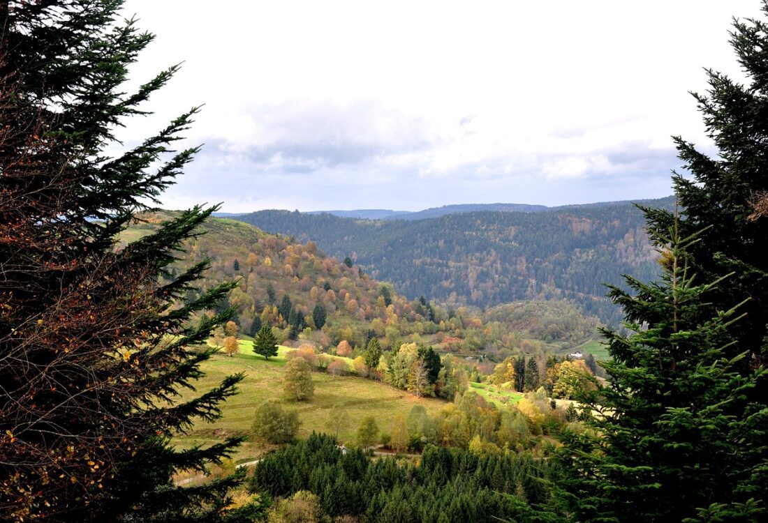 Vosges Vogezen dept fall-1051300_1280