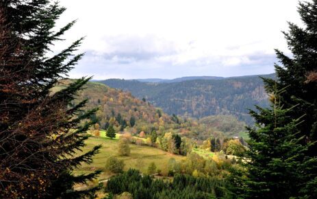 Vosges Vogezen dept fall-1051300_1280