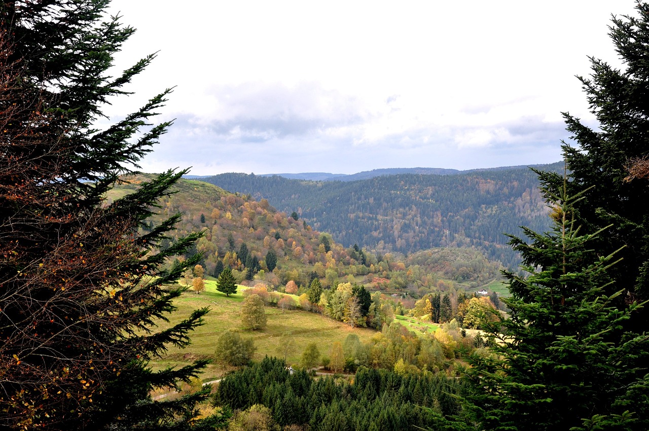 Vosges Vogezen dept fall-1051300_1280