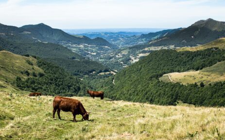 Monts du Cantal