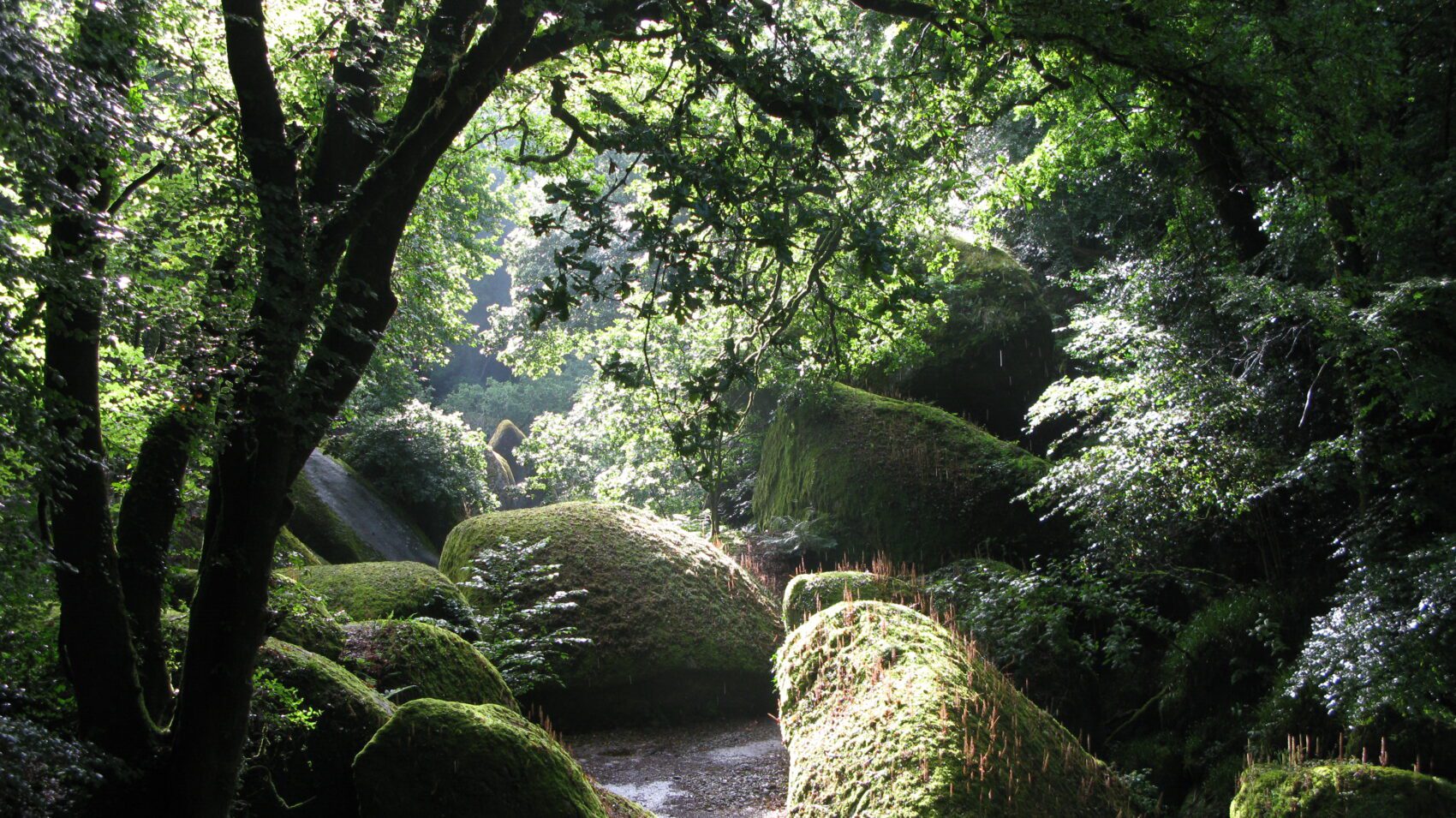 Forêt_de_Huelgoat