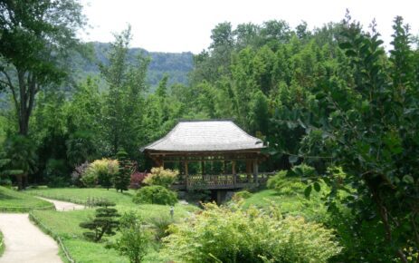 Pavillon_asiatique_de_la_bambouseraie_d’Anduze