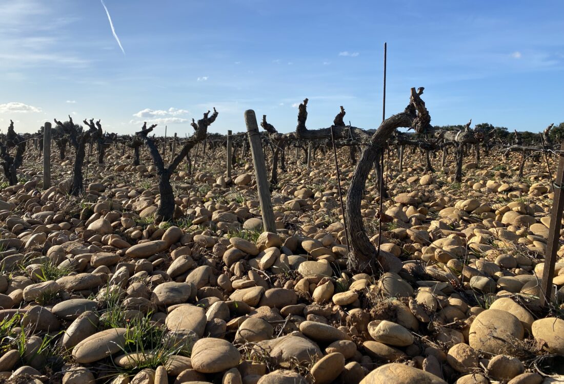 Domaine de la Mordorée