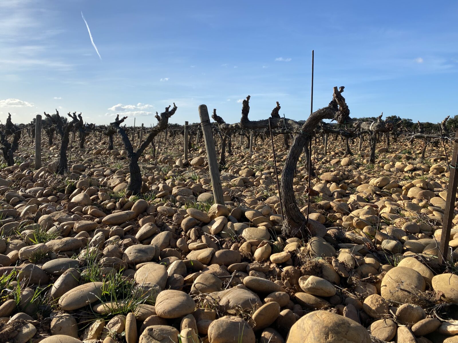 Domaine de la Mordorée